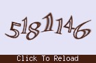 Captcha 그림