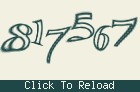 Captcha 그림